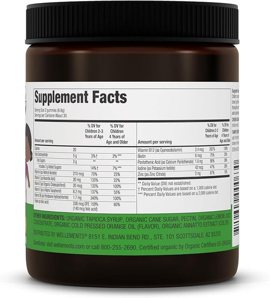 Wellements Organic Children's Multivitamin Gummies | Essential Kids Vitamins for Healthy Growth & Development* | Vitamin A, B, C, D, E + Zinc, No Artificial Colors | 3 Years +, 60 Ct
